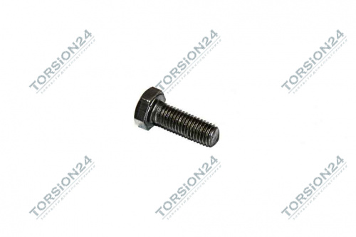 Болт М10x1,5x30 S17 DIN 931